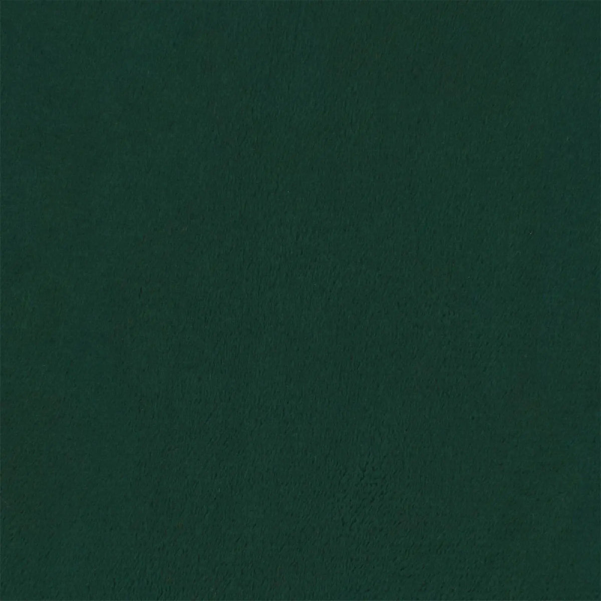 Gros plan sur le velours vert sapin du banc de lit Princes